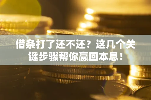 济南借条打了还不还？这几个关键步骤帮你赢回本息！
