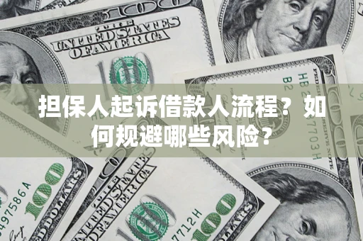 济南担保人起诉借款人流程？如何规避哪些风险？