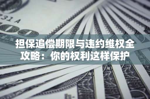 济南担保追偿期限与违约维权全攻略：你的权利这样保护